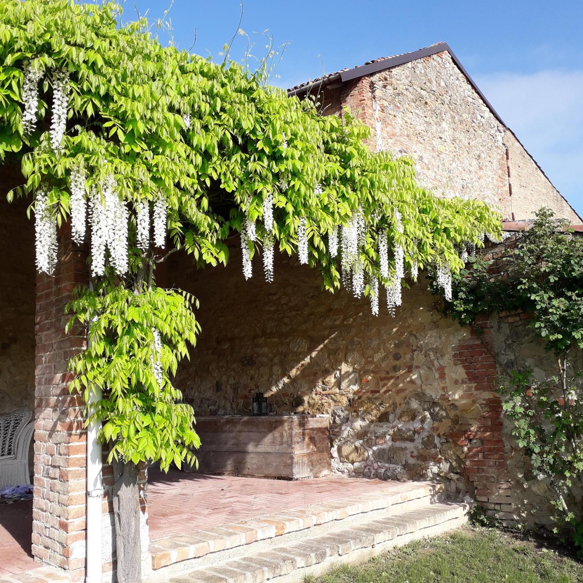 Casa Rovelli Bed & Breakfast Alfiano Natta Exterior photo