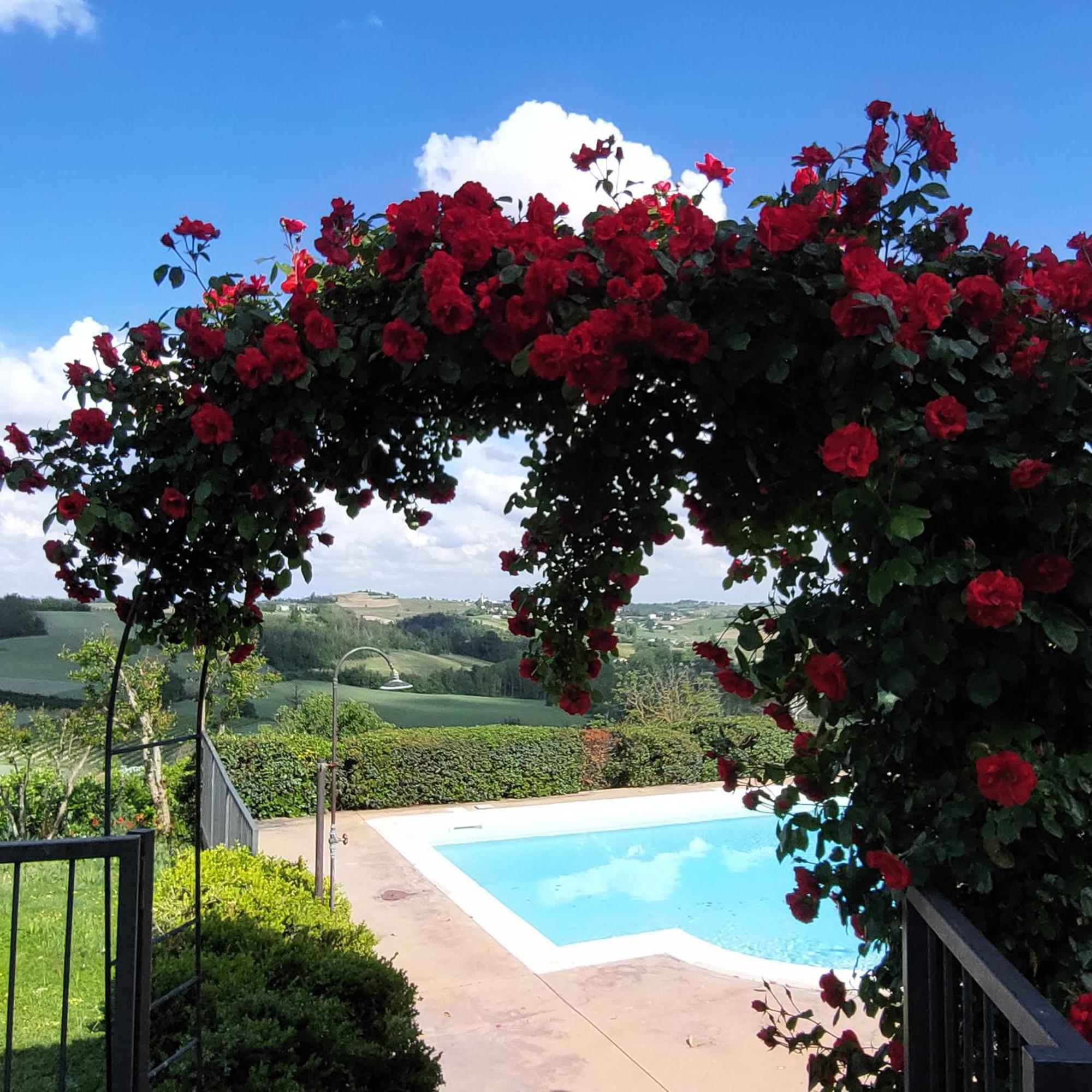 Casa Rovelli Bed & Breakfast Alfiano Natta Exterior photo